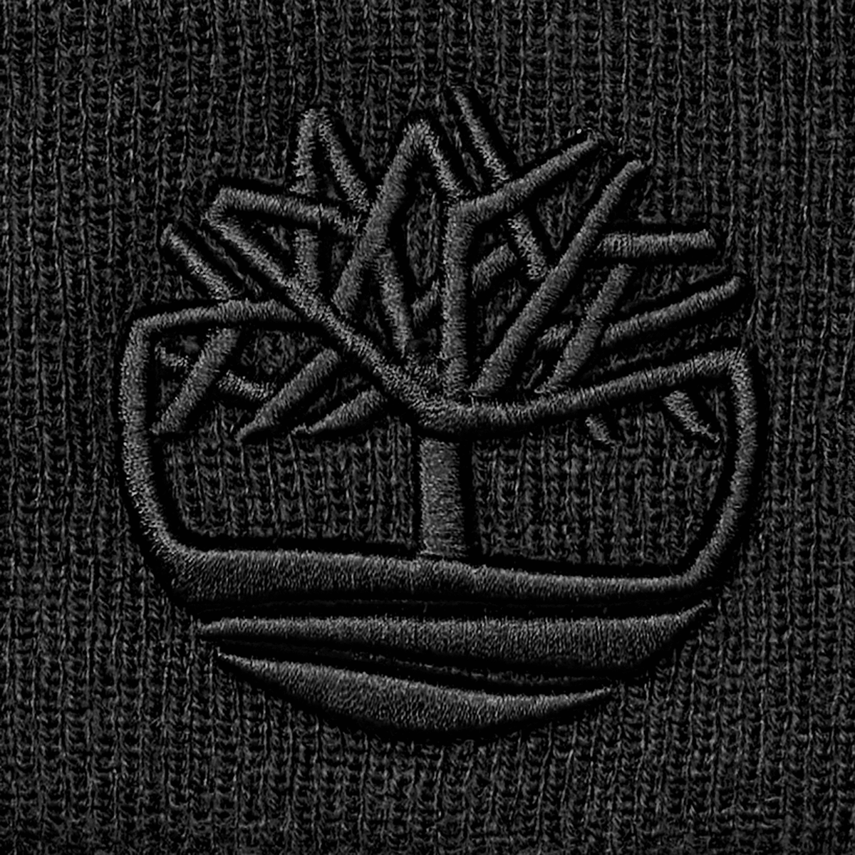 3D Embroidered Beanie