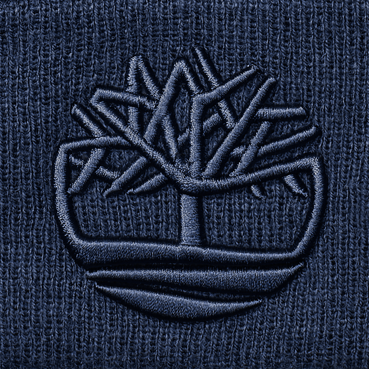 3D Embroidered Beanie