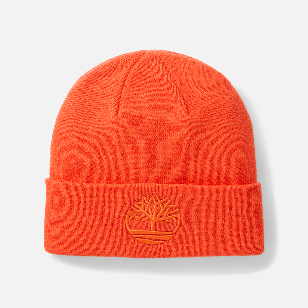3D Embroidered Beanie