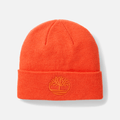 3D Embroidered Beanie
