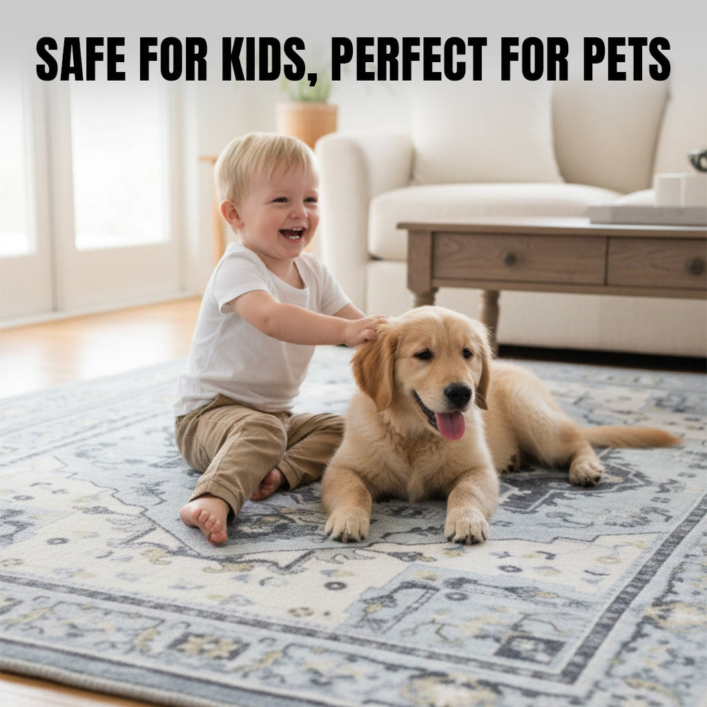 Muddy Carpet Azure Washable Area Rugs for Living Room, Bedroom & Dining Room – Modern Soft Low Pile Non Slip Carpet – Pet Friendly Waterproof Foldable Rugs for Home