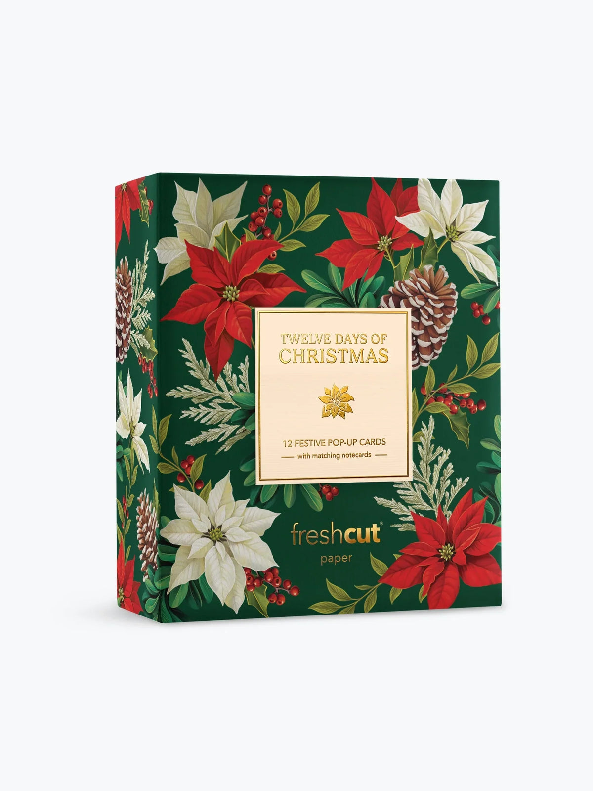 12 Days of Christmas Box