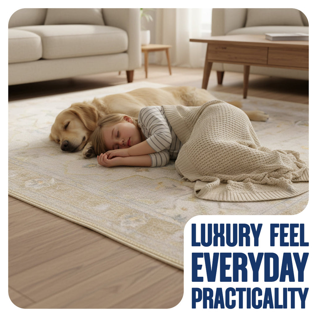 Muddy Carpet Champagne Washable Area Rugs for Living Room, Bedroom & Dining Room – Modern Soft Low Pile Non Slip Carpet – Pet Friendly Waterproof Foldable Rugs for Home