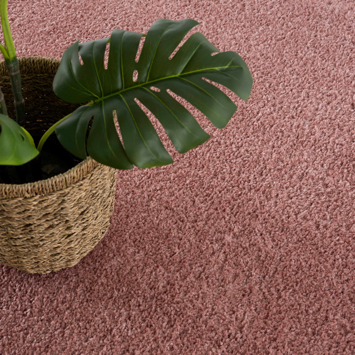 Judy Pink Plush Washable Area Rug