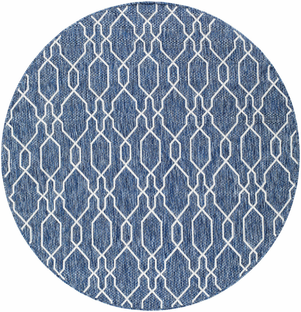 Aldford Outdoor Area Rug - Clearance