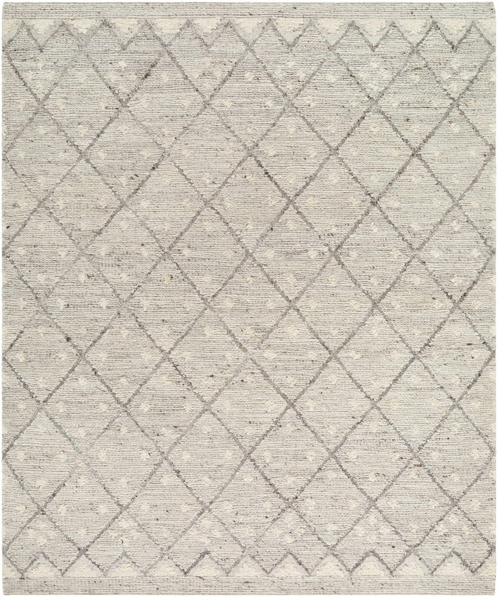 Aliaga Area Rug - Clearance