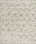 Aliaga Area Rug - Clearance