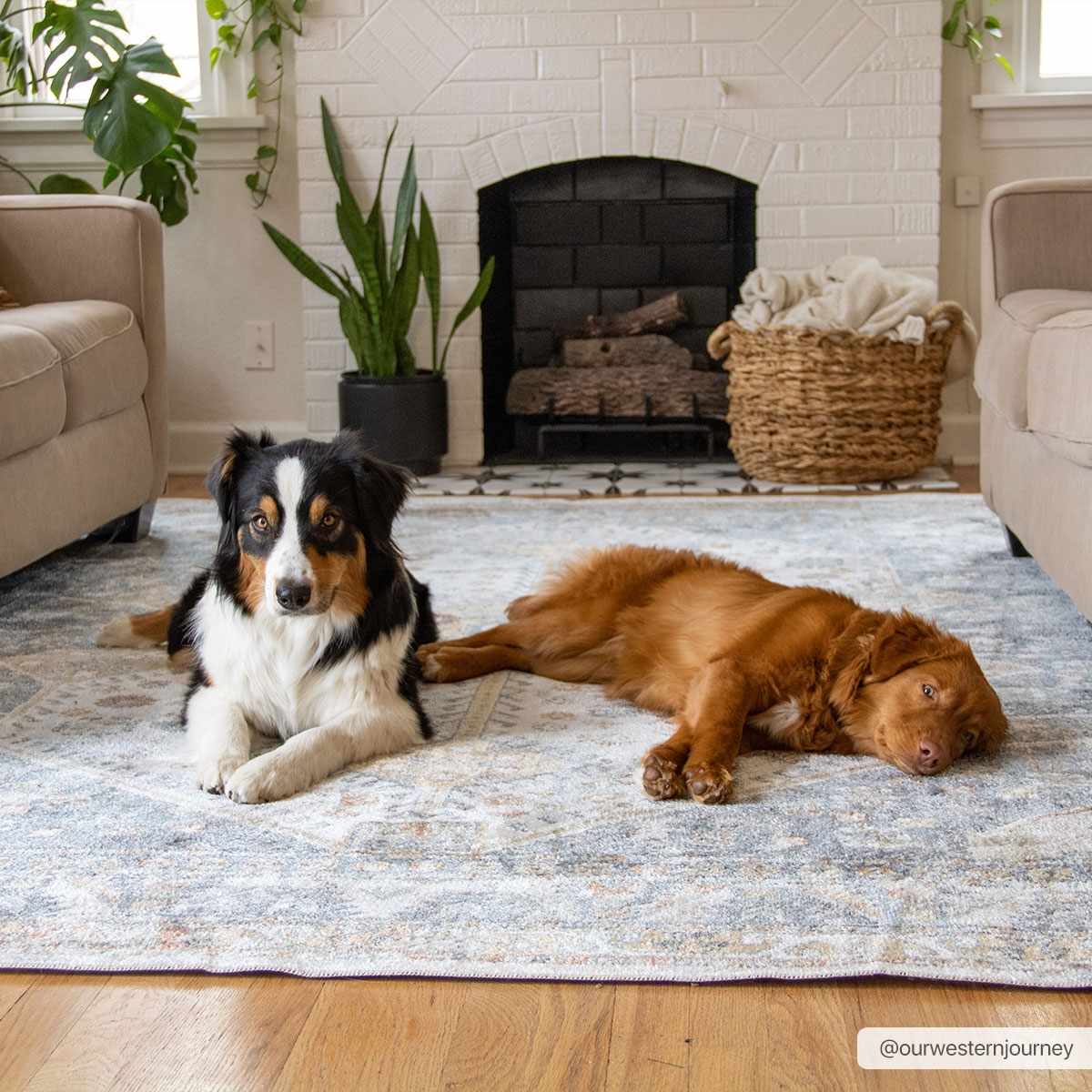 Afya Boutique Washable Rug