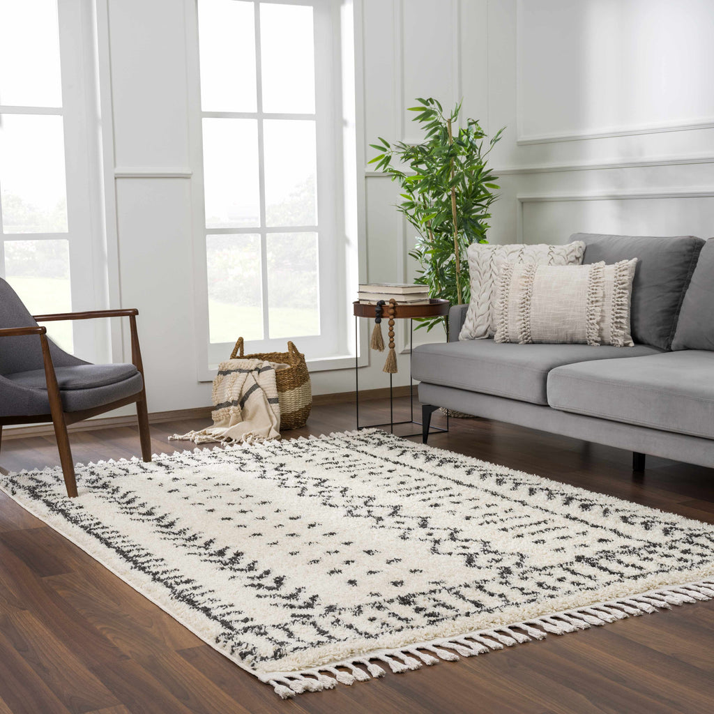 Hauppauge Berber Shag Carpet - Clearance