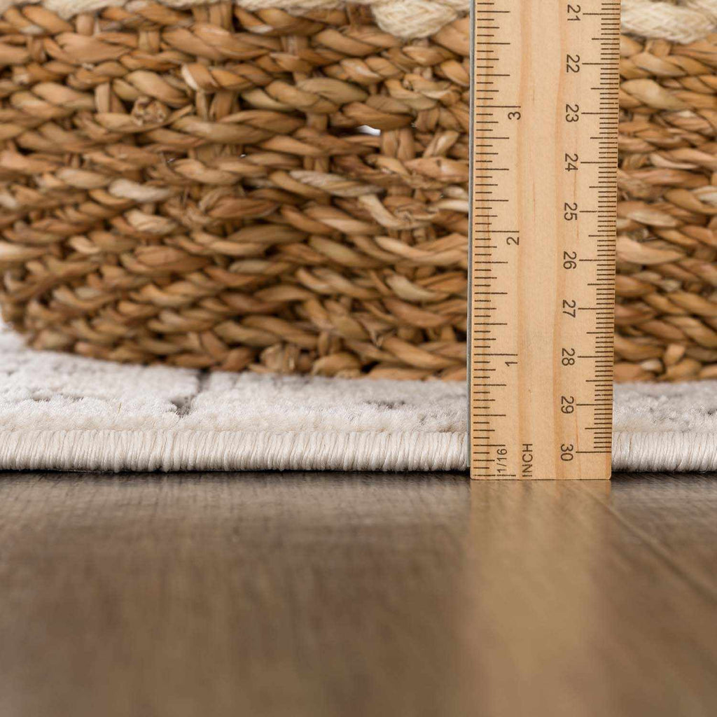 Warroad Area Rug - Clearance