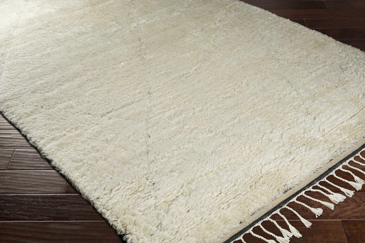 Birdwell Area Rug - Clearance