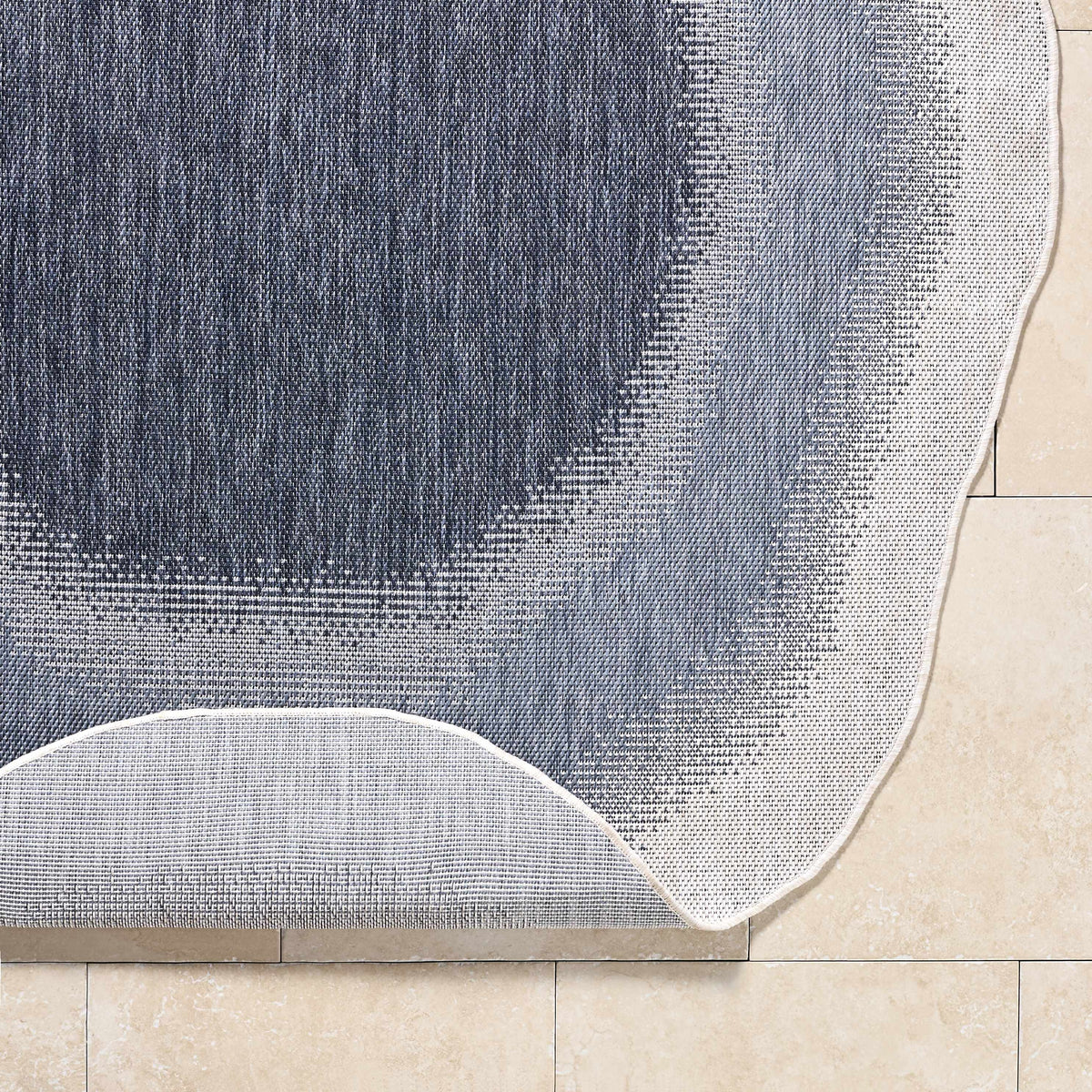 Burian Blue Outdoor Area Rug