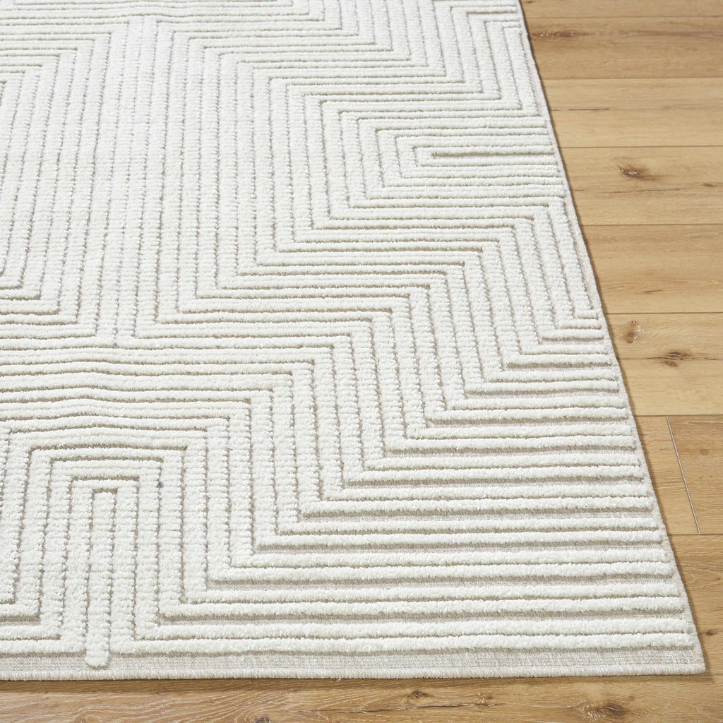 Briana Beige Washable Area Rug