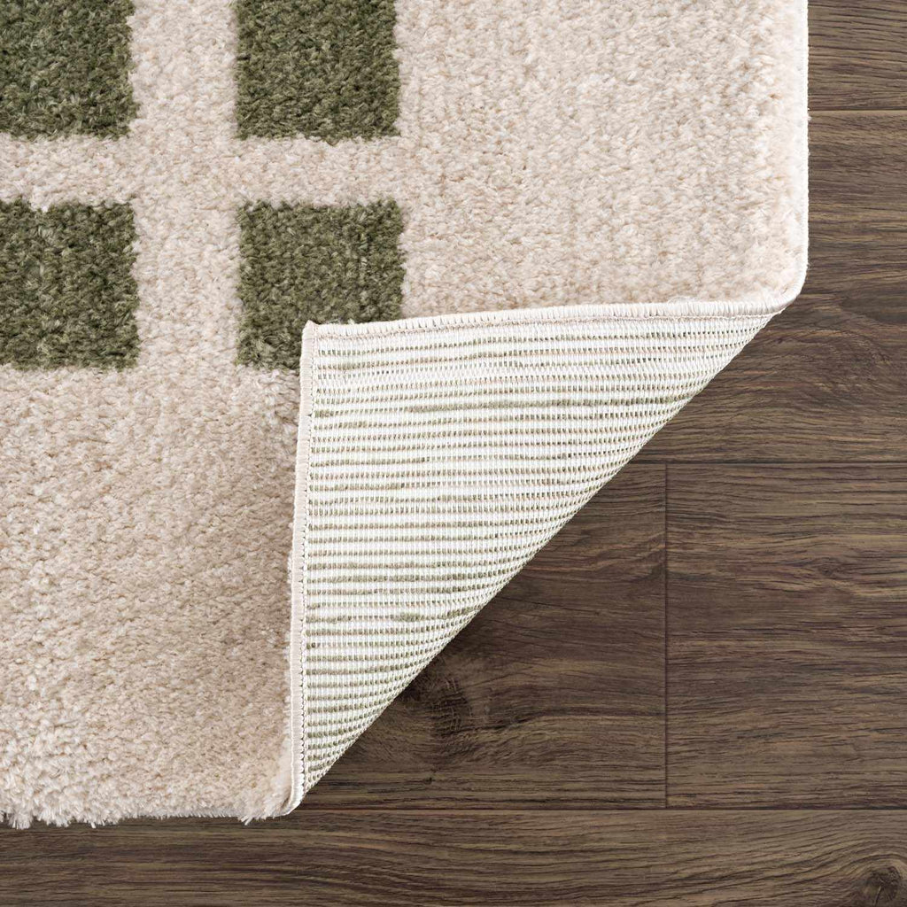 Baback Green Washable Area Rug