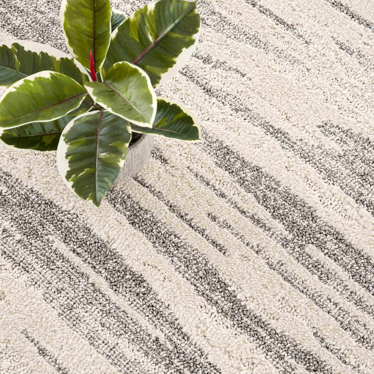 Lave Bone & Taupe Area Rug - Clearance