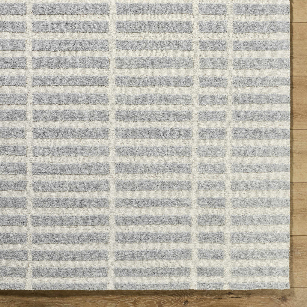 Bendek Medium Gray Area Rug