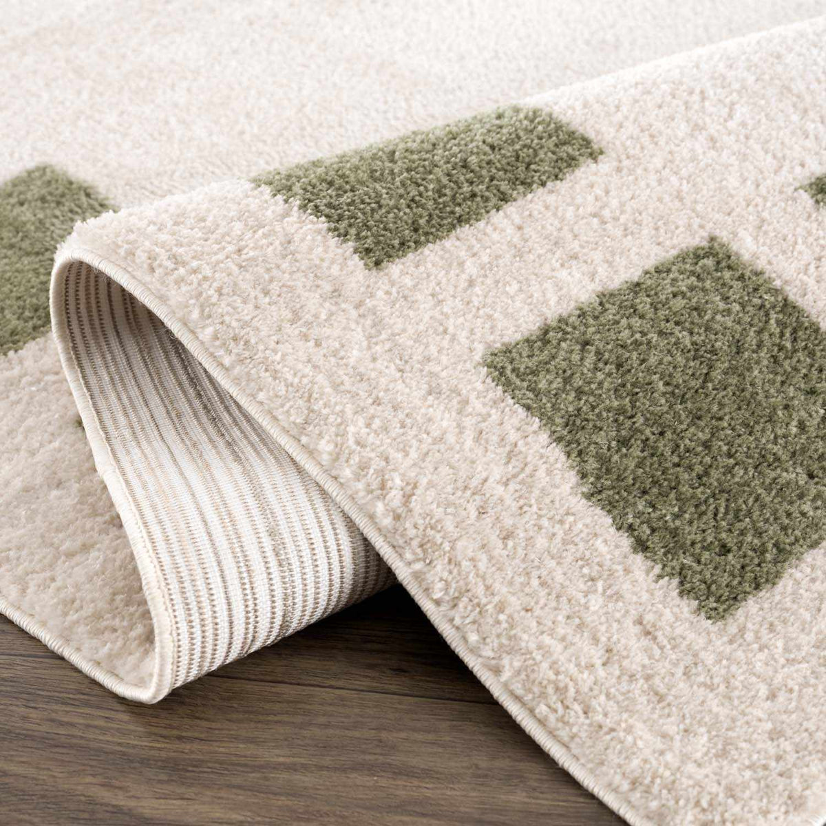 Beynon Green Washable Area Rug