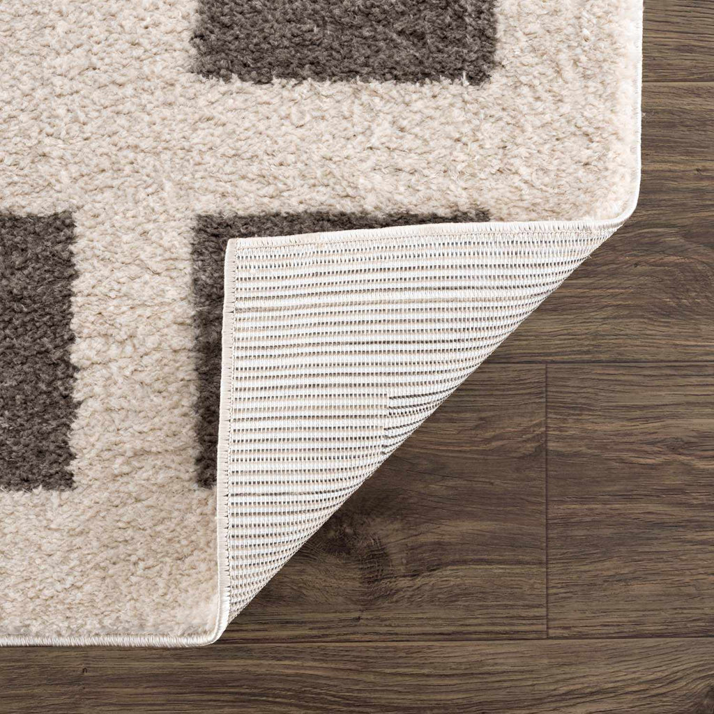 Beynon Charcoal Washable Area Rug