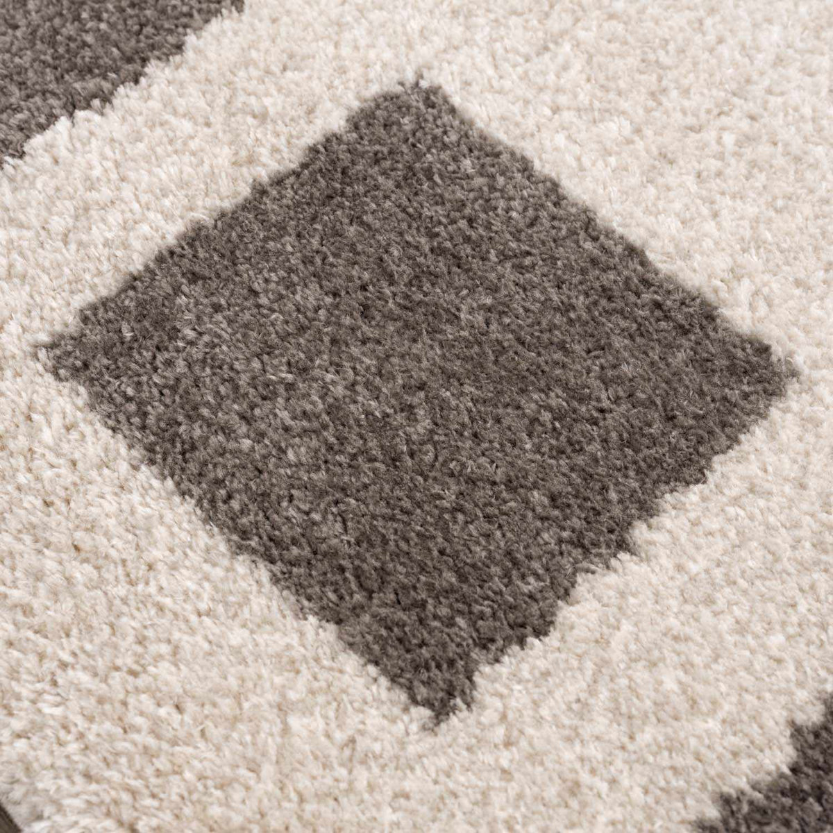Beynon Charcoal Washable Area Rug