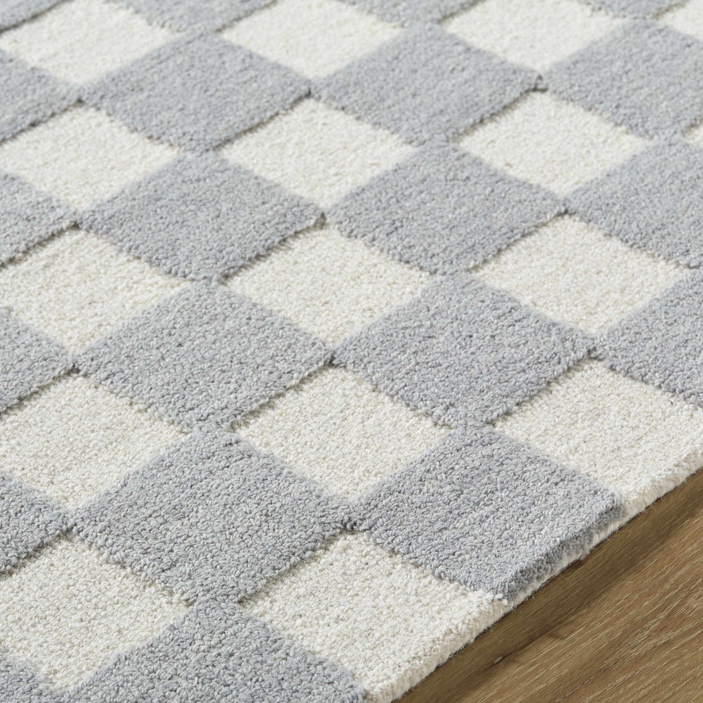 Amparo Medium Gray Area Rug