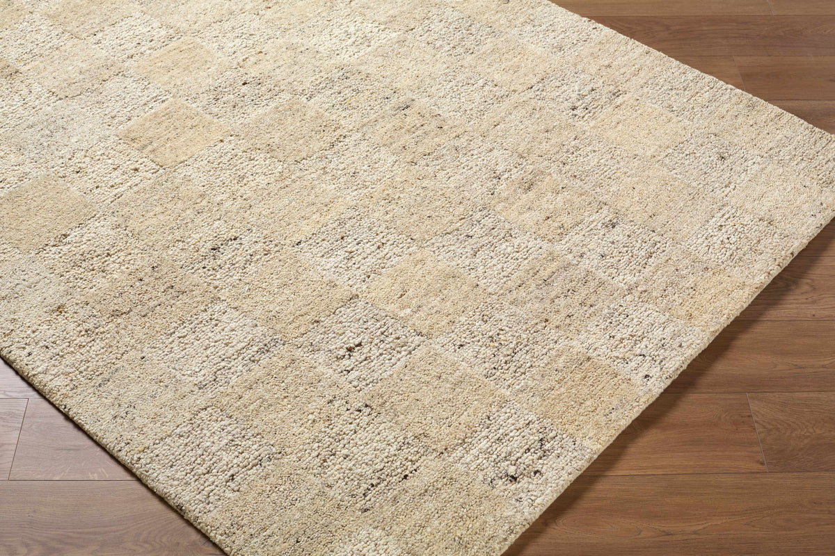 Chasya Sandstone Area Rug