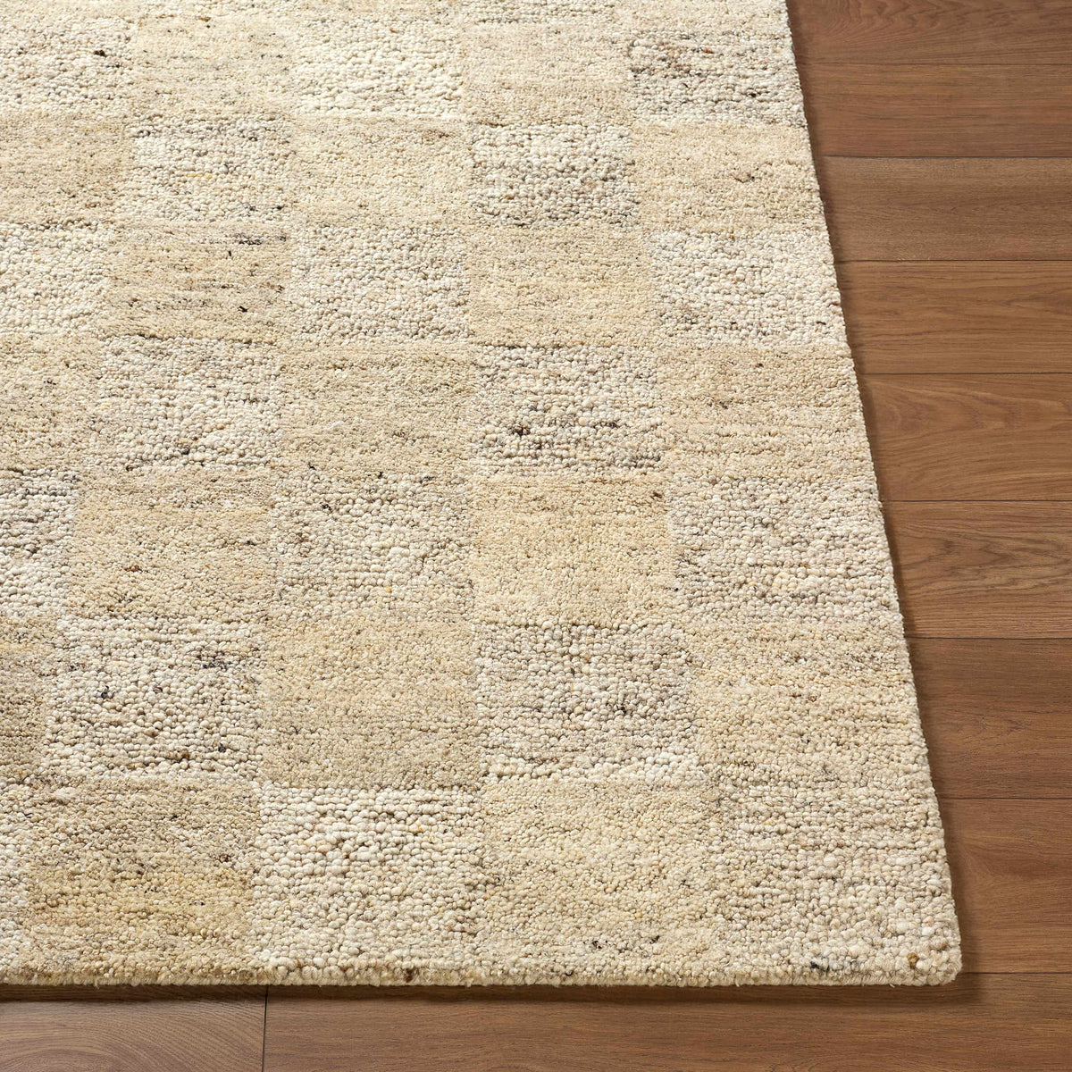 Chasya Sandstone Area Rug