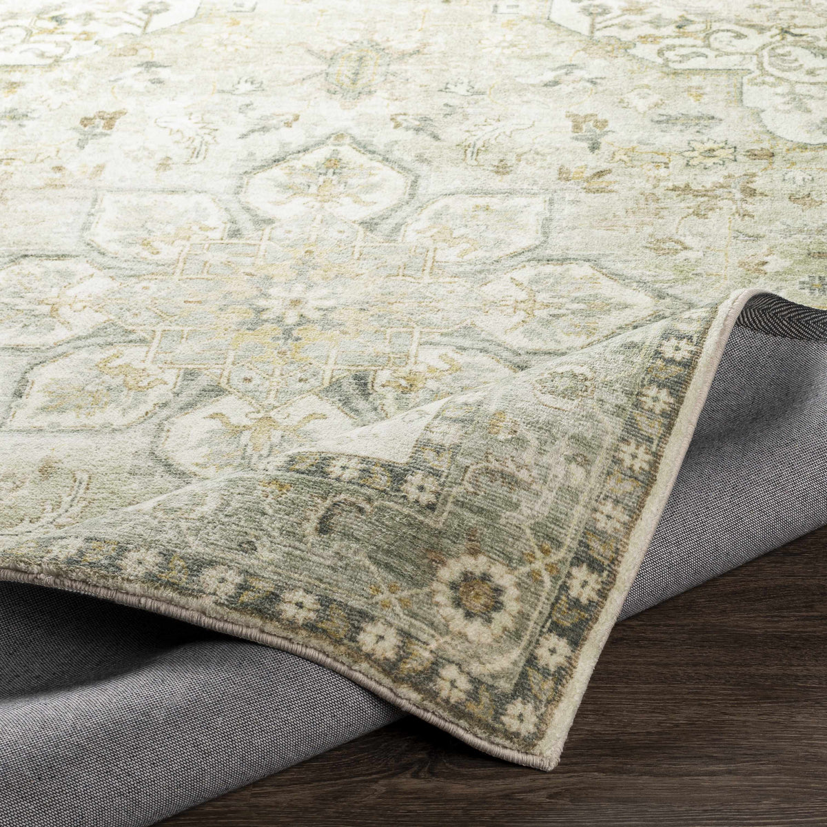 Crondall Sage Traditional Area Rug
