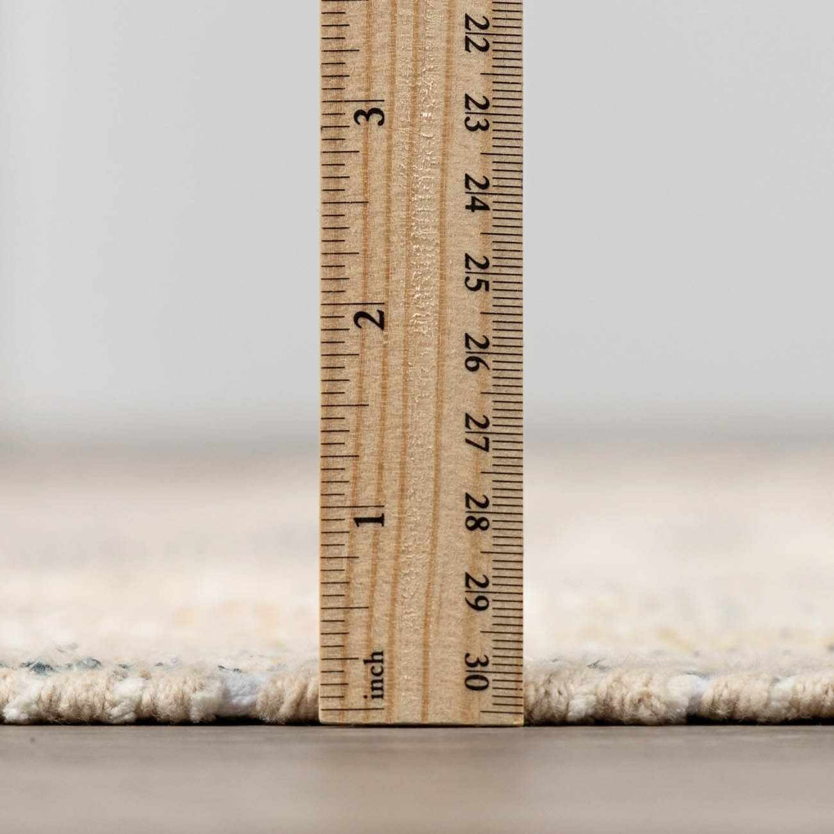 Chaela Ivory & Olive Area Rug