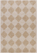 Collen Outdoor Area Rug