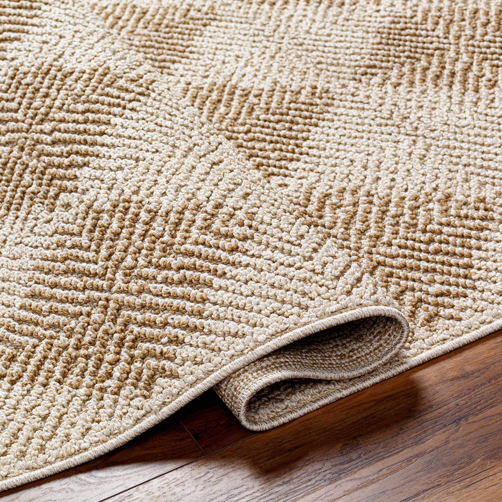 Collen Outdoor Area Rug