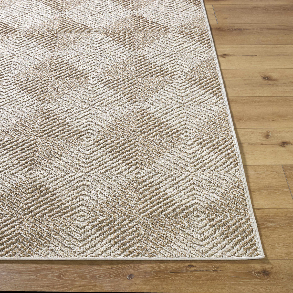 Collen Outdoor Area Rug