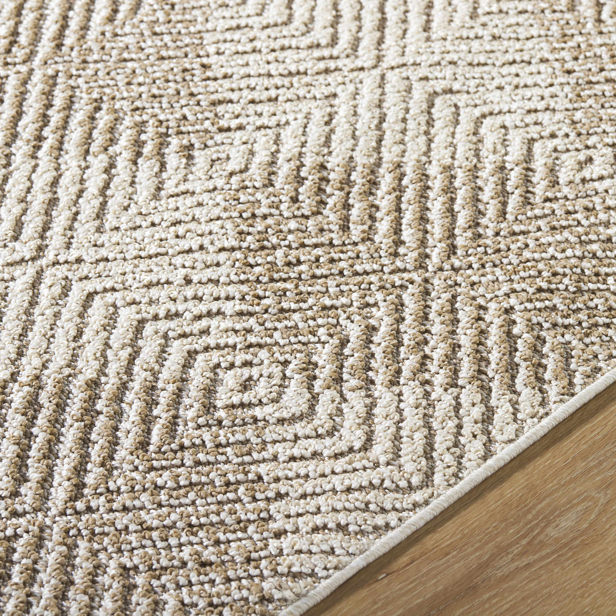 Collen Outdoor Area Rug
