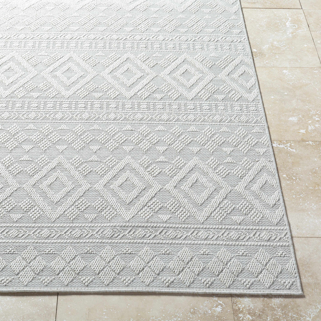 Choire Outdoor Area Rug