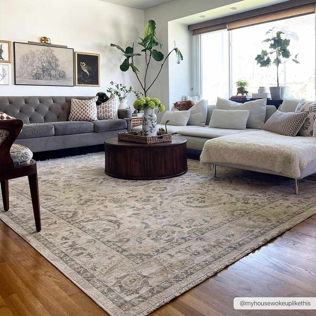 Clee Area Rug - Clearance