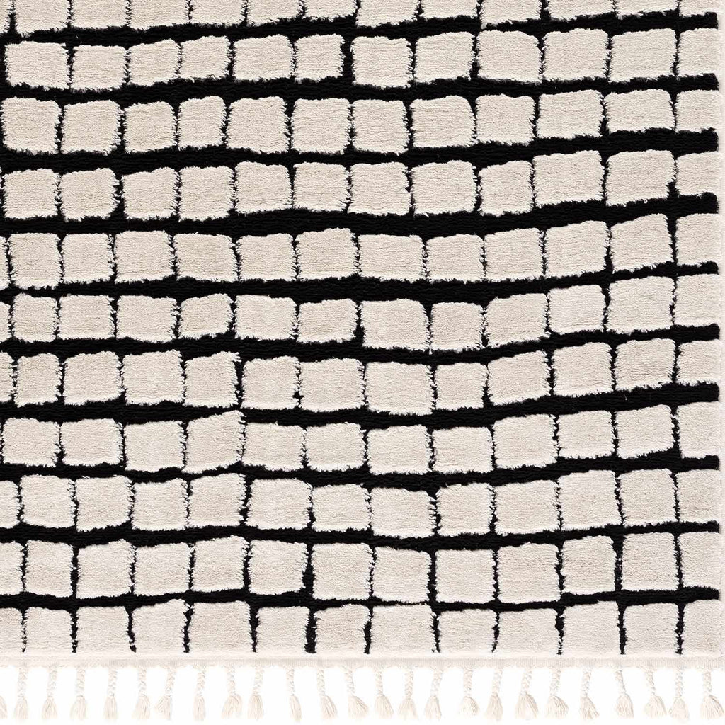 Teshi Checkered Area Rug - Clearance