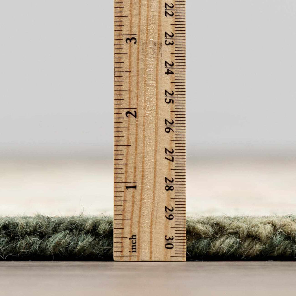Acacia Area Rug