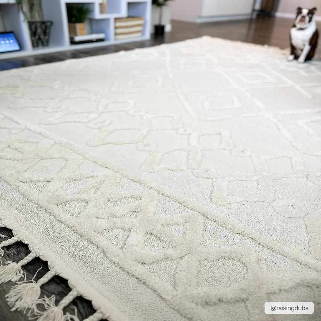 Gyundyukoru Area Rug - Clearance