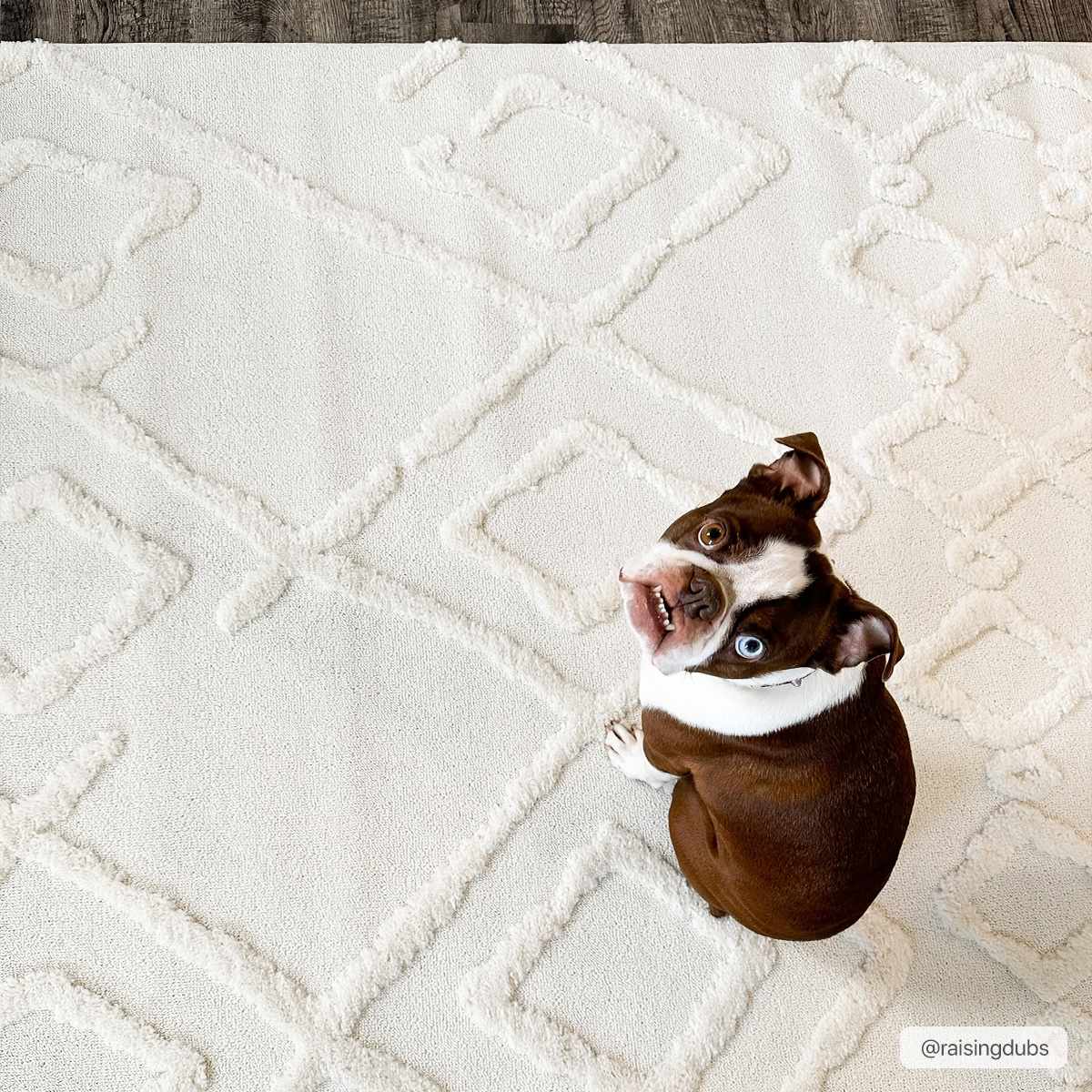 Gyundyukoru Area Rug - Clearance