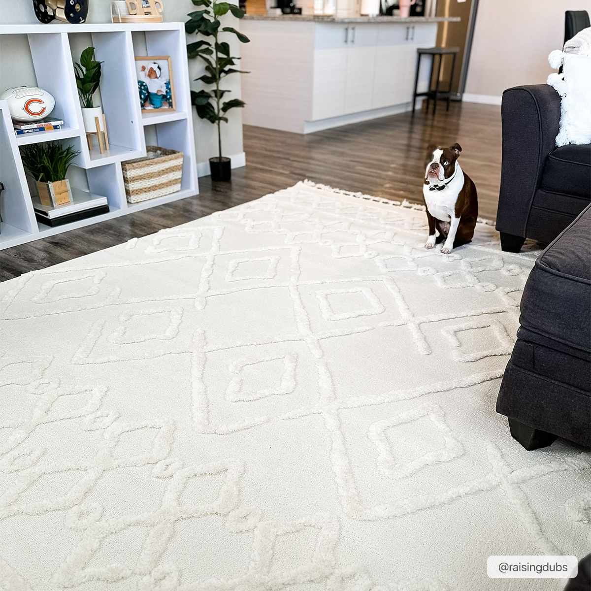 Gyundyukoru Area Rug - Clearance