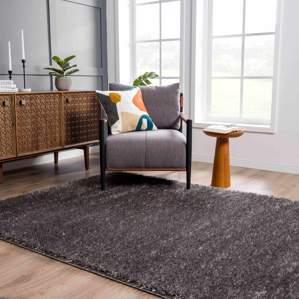 Faina Solid Dark Gray Shag Washable Area Rug - Clearance