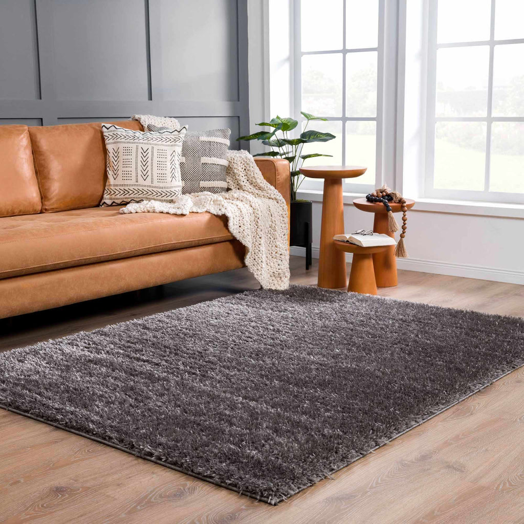 Faina Solid Dark Gray Shag Washable Area Rug - Clearance