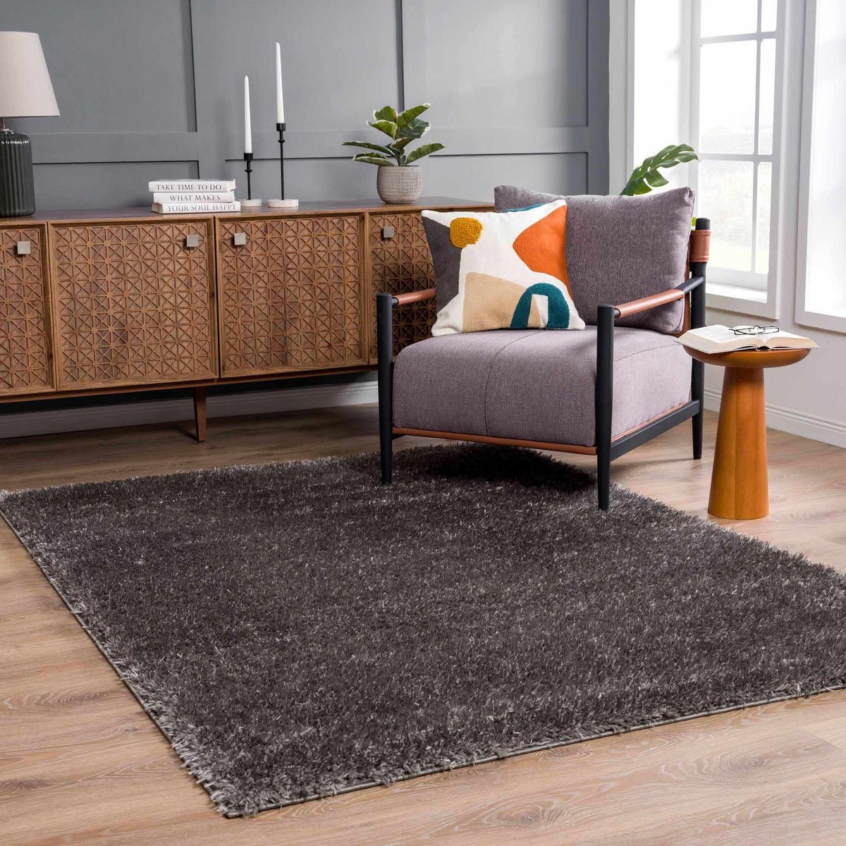 Faina Solid Dark Gray Shag Washable Area Rug - Clearance