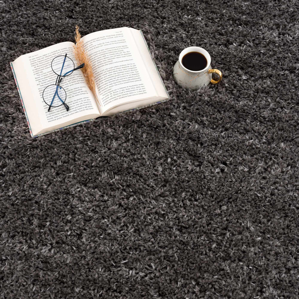 Faina Solid Dark Gray Shag Washable Area Rug - Clearance
