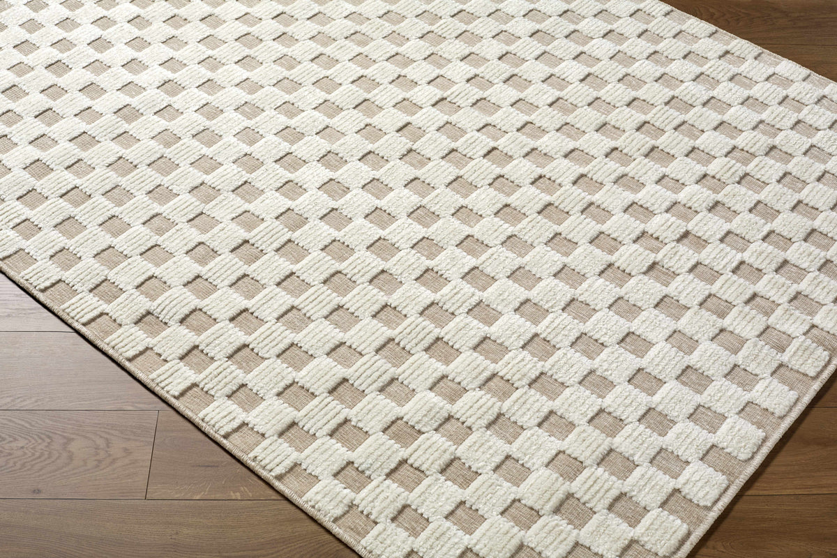 Anthea Light Gray Washable Area Rug