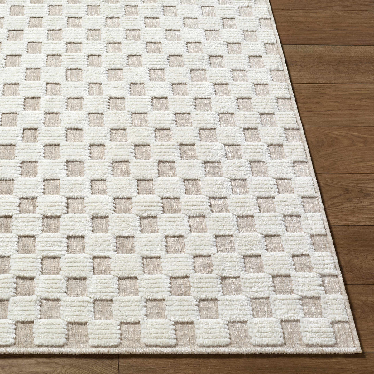 Anthea Light Gray Washable Area Rug