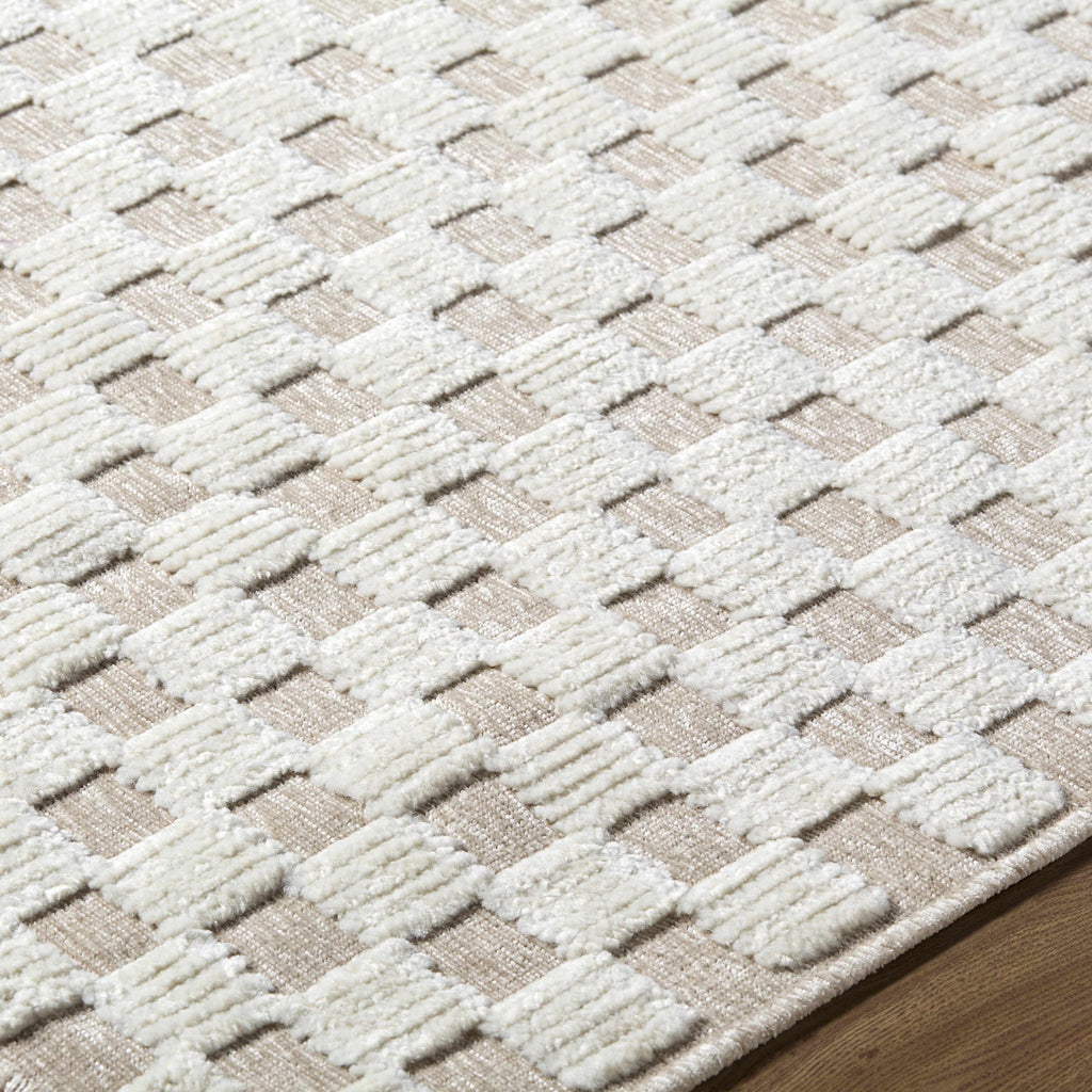 Anthea Light Gray Washable Area Rug