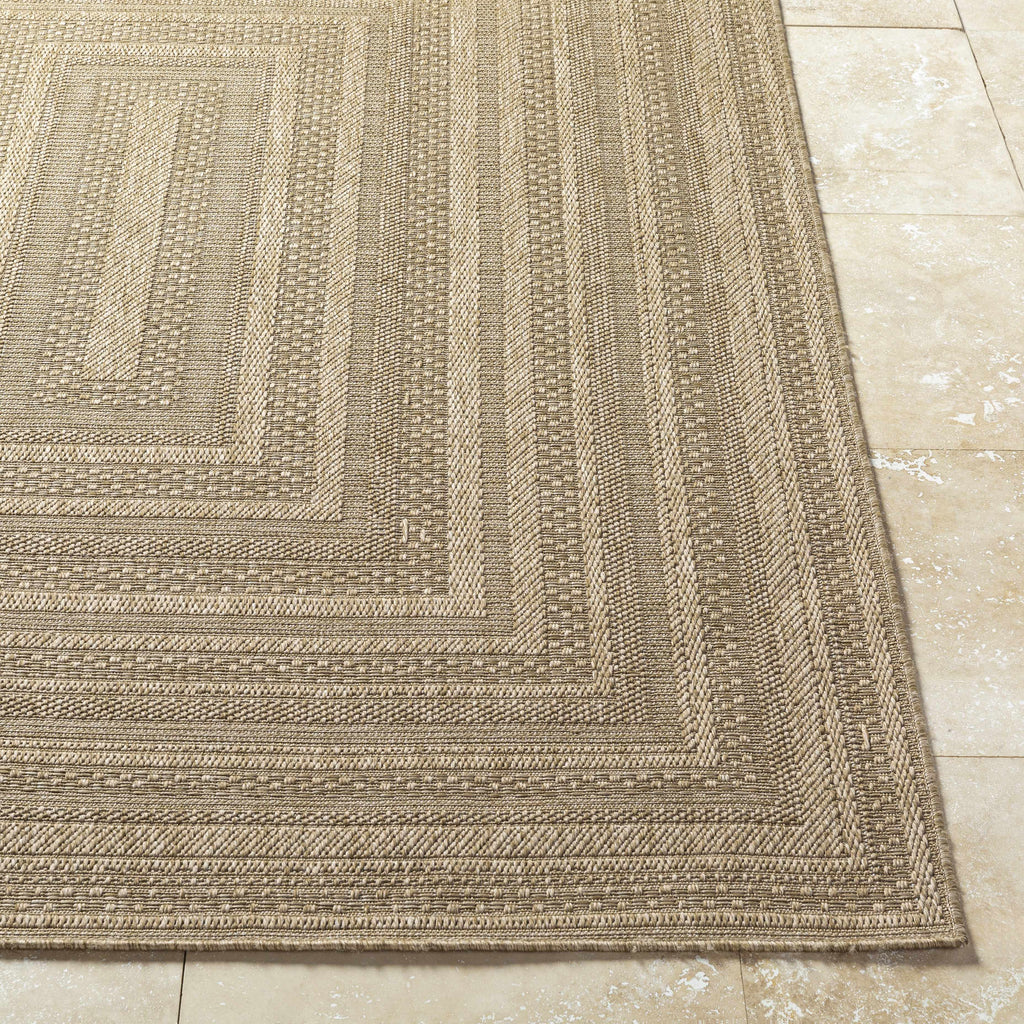 Avalos Brown Outdoor Area Rug