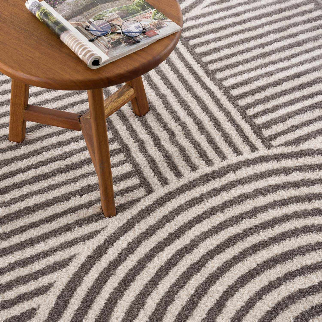 Allard Charcoal Washable Area Rug