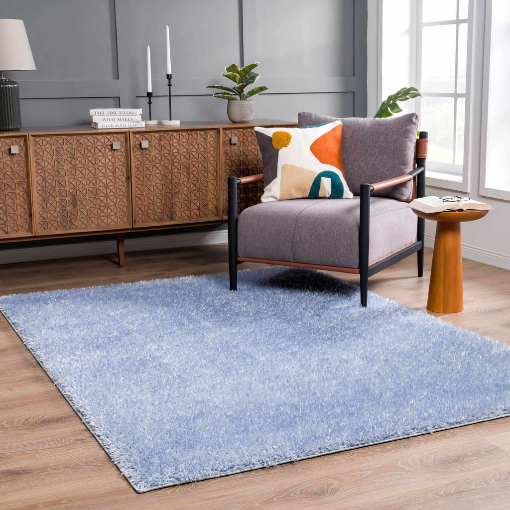 Faina Solid Aqua Shag Washable Area Rug