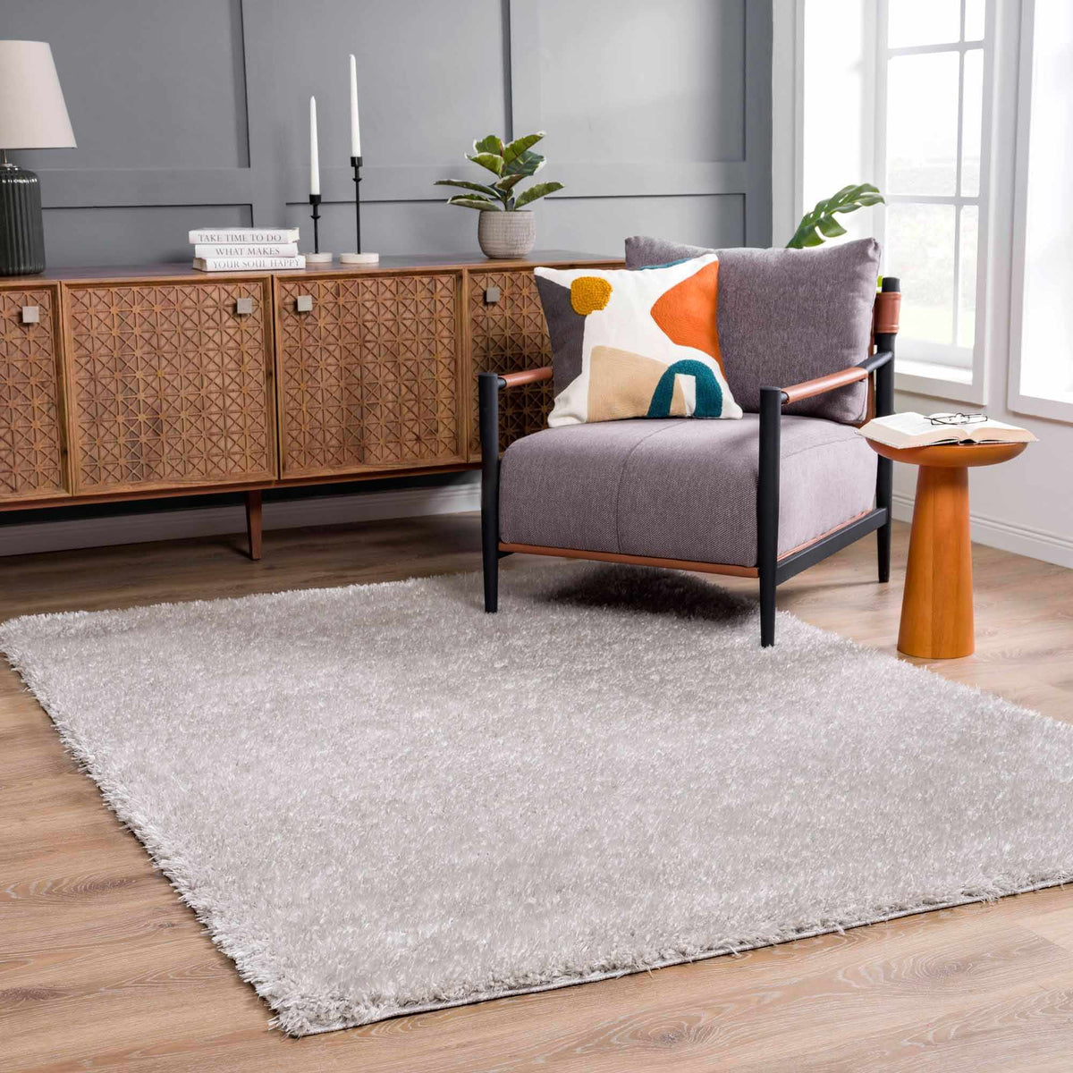 Faina Solid Light Gray Shag Washable Area Rug